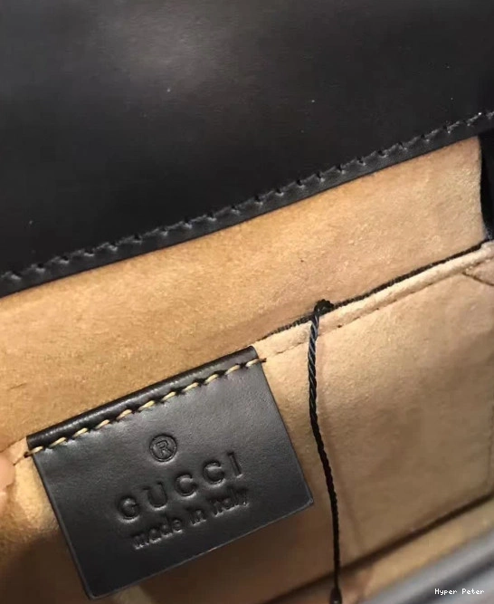 Hyperpeter Sylvie Gucci 0729
